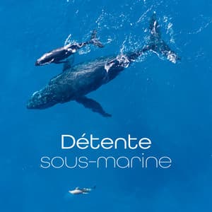 Détente sous-marine: Sons de l'eau et des animaux marins avec une douce musique de fond - Zen Ambiance D'eau Calme