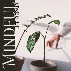 Mindful Life Repair: 216 Hz Healing Sound Therapy & Manifestation of Positive Change - Hz Mystery Sphere