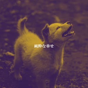 純粋な幸せ - Soft Jazz Relaxation