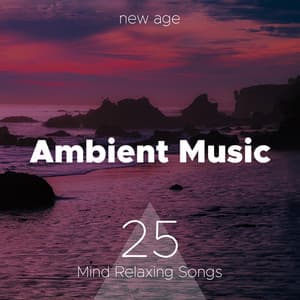 Ambient Music: 25 Mind Relaxing Songs for Yoga Meditation Spa Massage Wellness Centers - Sleep Harmony
