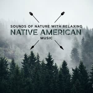 Sounds of Nature with Relaxing Native American Music: Pure State of Mind and New Age Sounds - Native American Music Consort