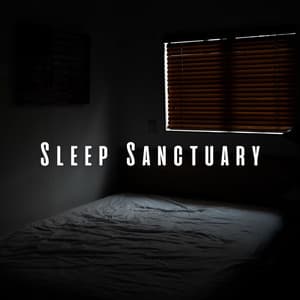 Sleep Sanctuary: Calming Lofi Tones for Sweet Slumber - Lo-Fi for Sleeping