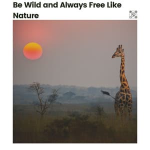 Be Wild and Always Free Like Nature - Nature Calm