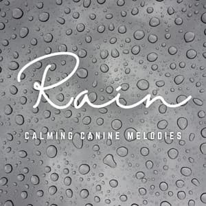 Paws in Rain Serenity: Calming Canine Melodies - Natural Perspectives