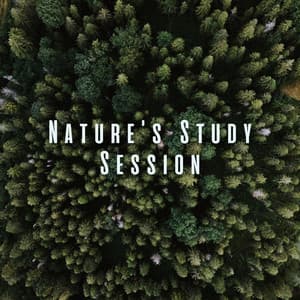 Nature's Study Session: Ambient Sounds for Intense Learning - Nature Sound Collection