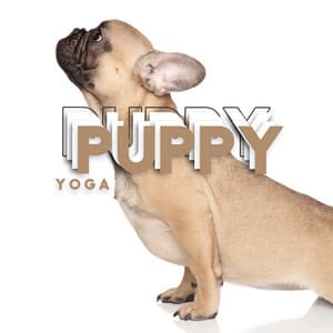 Puppy Yoga - Pet Relax Academy