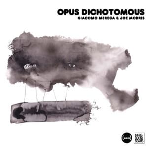 Opus dichotomous - Giacomo Merega