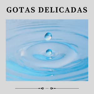 Gotas Delicadas - Sons da natureza HD