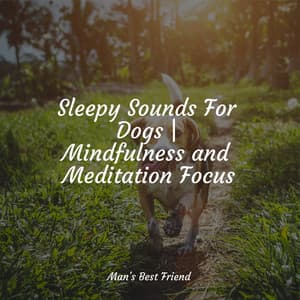 Ghostly Nocturnal Murmurs - Azure Winds