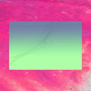 Organic Guitar Music - Background for Successful Wishes - Unwind Jazz Relax