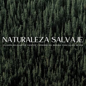 Naturaleza Salvaje: Pájaros Relajantes, Vientos Y Sonidos Del Bosque Para Su Día De Spa - Colectivo de frecuencias de planta