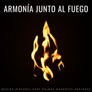 Armonía Junto Al Fuego: Música Binaural Para Calmar Mascotas Ansiosas - Investigación de ritmos binaurales