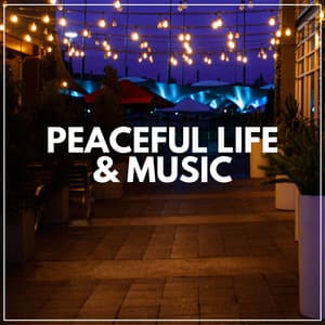 Peaceful Life & Music - Meditation