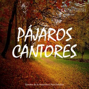 Sonidos de la Naturaleza para Estudiar: Pájaros Cantores - Musica Para Leer