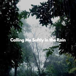 Calling Me Softly in the Rain - Musica para Estudiar Playlist