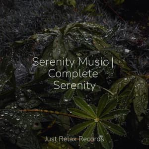 Serenity Music | Complete Serenity - Nature Sounds Nature Music