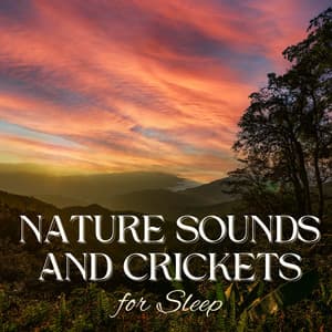 Nature Sounds and Crickets for Sleep - Nature Sounds Relaxation