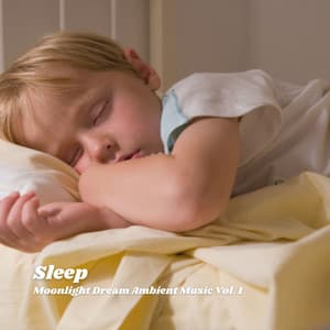 Sleep: Moonlight Dream Ambient Music Vol. 1 - Ocean Waves for Deep Sleep