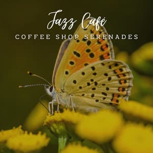 Serenity in Jazz: Café Lounge Relaxations - Cafe Smooth Jazz Radio
