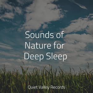 Sounds of Nature for Deep Sleep - Rain Sounds Rain