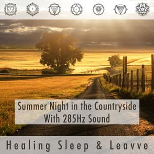 Summer Night In The Countryside With 285hz Sound - Healing Sleep
