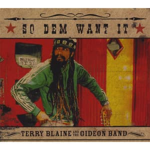 So Dem Want It - Terry Blaine