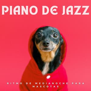 Piano De Jazz: Ritmo De Medianoche Para Mascotas - PianoSueños