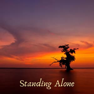 Standing Alone - Tranquility Spree