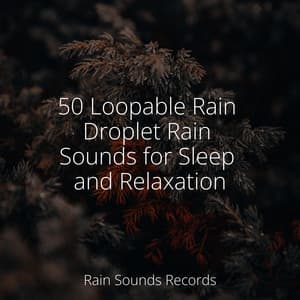 50 Loopable Rain Droplet Rain Sounds for Sleep and Relaxation - Forest Sounds