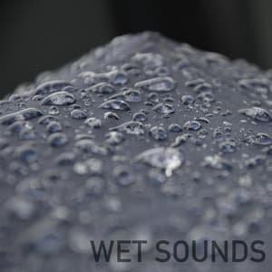 Wet Sounds - Meditación Musical