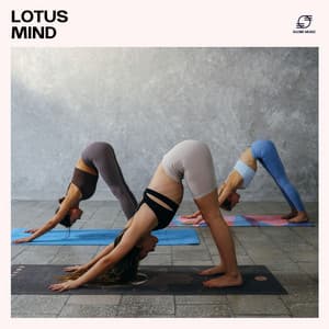Lotus Mind - Pilates Workout