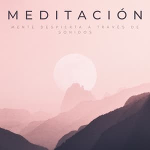 Mente Despierta A Través De Sonidos De Meditación - Cubiertas antipolvo para piano