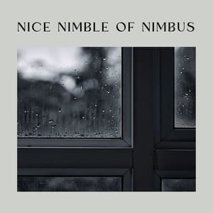 Nice Nimble of Nimbus - The Rain Factory