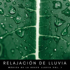 Relajación De Lluvia: Música De La Suave Lluvia Vol. 1 - Sonidos De Oceano