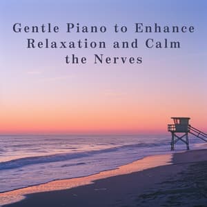Gentle Piano to Enhance Relaxation and Calm the Nerves - Relaxing BGM Project