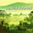 Jungle Sounds