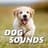 Dog Sounds