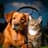 Music for Pets Playlist
