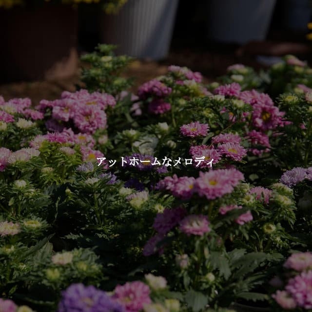 アットホームなメロディ - Jazz Lounge Bar Relaxing