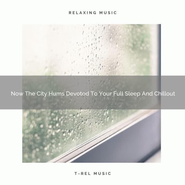 Now The City Hums Devoted To Your Full Sleep And Chillout - The White Noise Zen & Meditation Sound Lab