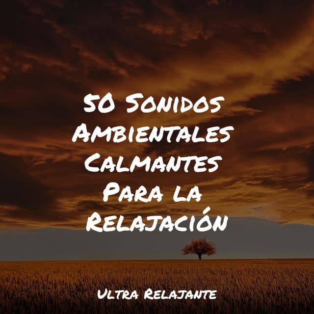 50 Sonidos Ambientales Calmantes Para la Relajación - Relajante