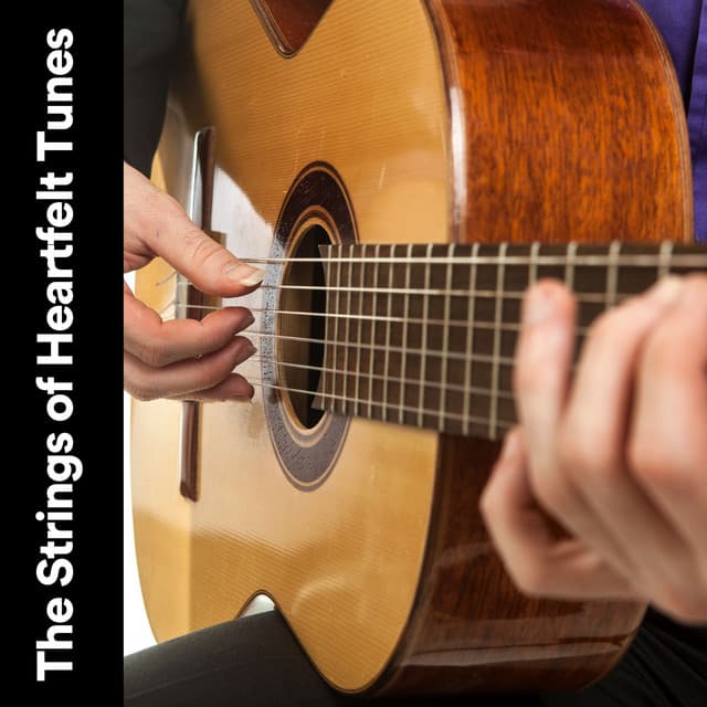 The Strings of Heartfelt Tunes - Guitar Calm