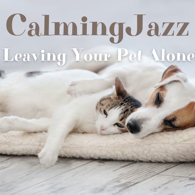 Leaving Your Pet Alone - Calming Jazz - Jazz Music for Cats