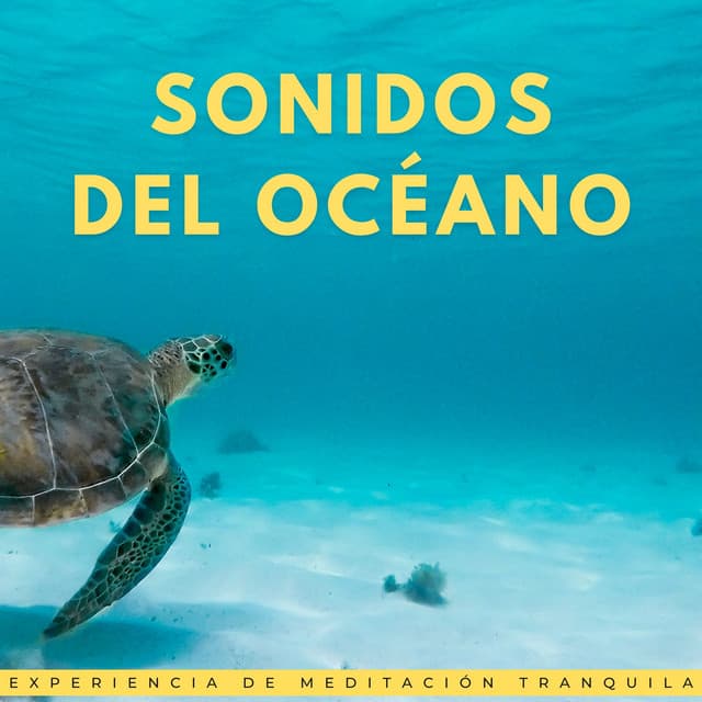 Sonidos Del Océano: Experiencia De Meditación Tranquila - Atmósferas oceánicas