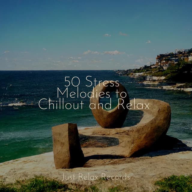 50 Stress Melodies to Chillout and Relax - Naturaleza Sonidos