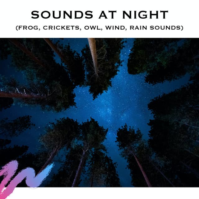 Sounds at Night - Serene Rose
