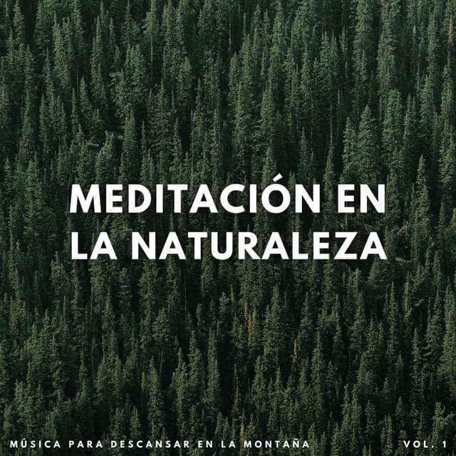 Meditación En La Naturaleza: Música Para Descansar En La Montaña Vol. 1 - Ecos Débiles