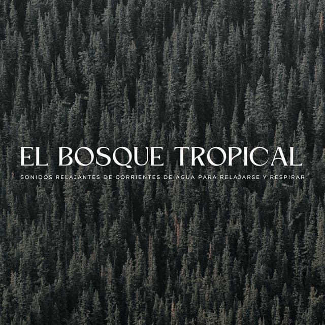 El Bosque Tropical: Sonidos Relajantes De Corrientes De Agua Para Relajarse Y Respirar - Aves del bosque sueco
