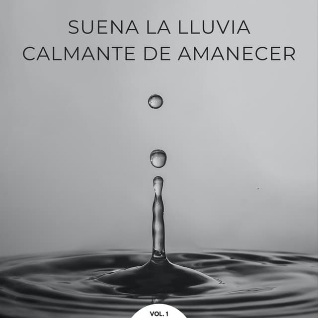 Suena La Lluvia Calmante De Amanecer Vol. 1 - Bonitos ruidos de lluvia