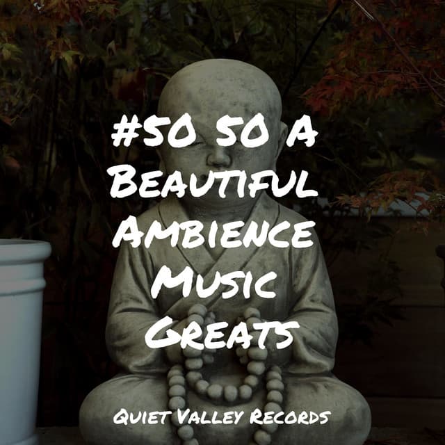 #50 50 A Beautiful Ambience Music Greats - Zarobi